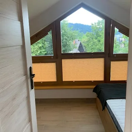 公寓 Mlynek Parkowa 扎科帕内