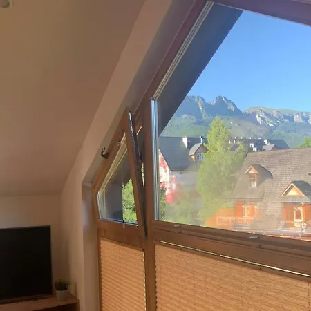 Mlynek Parkowa * Zakopane