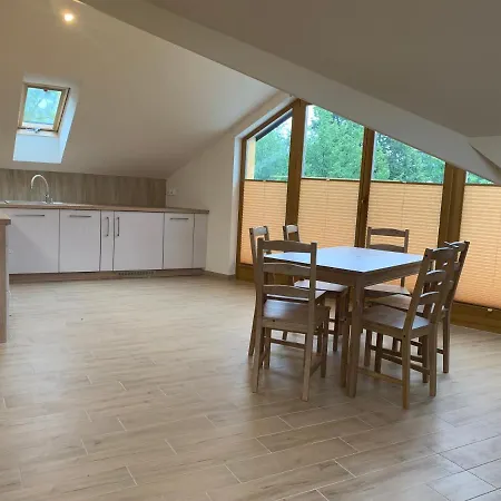 Apartman Mlynek Parkowa Zakopane