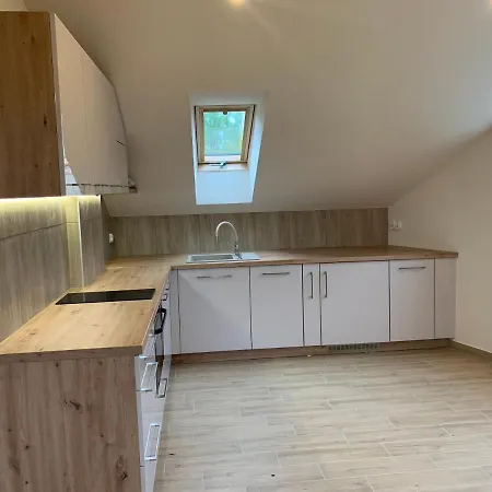 Mlynek Parkowa Apartment Zakopane